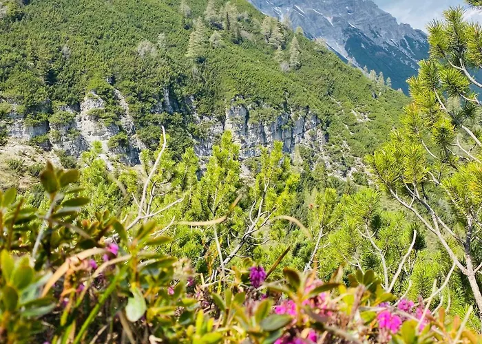 منزل ريفي Maria Waldrast ماتري ام برينر